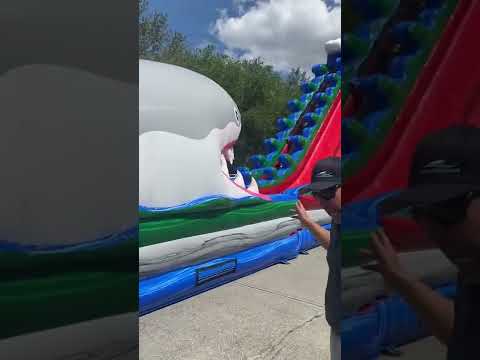 Video 4