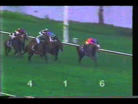 1990 Eddie Read Handicap - Fly Till Dawn - Del Mar