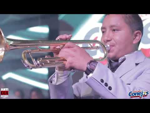 Un Hombre Busca una Mujer - Internacionales Conejos