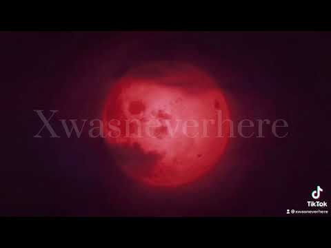 Starchasm Nyx edit (seele)