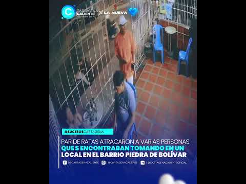 'CHIRRETE' ATRACÓ A VARIOS PERSONAS EN EL BARRIO PIEDRA DE BOLÍVAR | CARTAGENA CALIENTE 💨