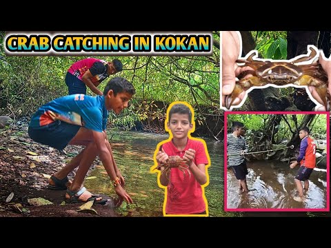 Catching Wild Crabs in kokan !!! / कोकणातील खेकडे😱 Best Amazing Technology Crab Catching 