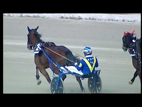 Napoli Trotto 06/02/2022 - 3ª corsa