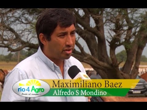 PROGRAMA RIO 4 AGRO 14 03 BLOQUE 3 -  MONDINO
