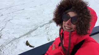 ANTARCTICA PART V - Christmas Eve in Antarctica