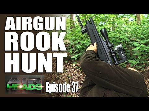 Airgun Rook Hunt – AirHeads, episode 37 Airgun Rook Hunt – AirHeads, episode 37
