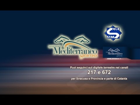 Cavalli & Dintorni Puntata 221