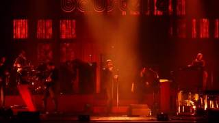 Baustelle - Lepidoptera