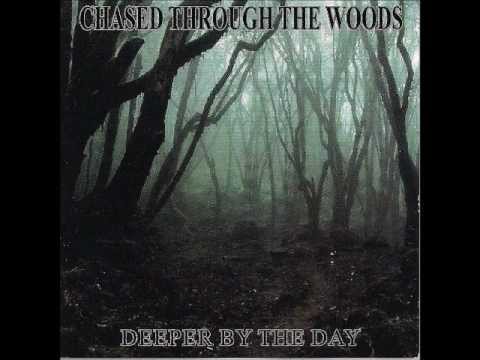 Embrace The Concrete by Chased Through The Woods