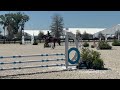 IMG 4425