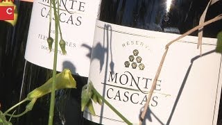 Cascawines – Vinhos de Cascais para o mundo