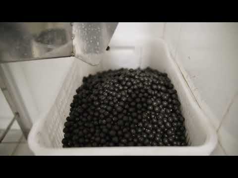 Teaser | 2025 Equator Prize Winner: Associação Uasei dos Povos Indígenas de Oiapoque — Brazil