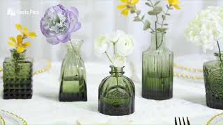 Deals Plus Glass Bud Vases