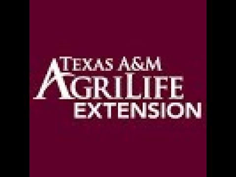 Solving Wine Quality Problems Using Systematic Methods