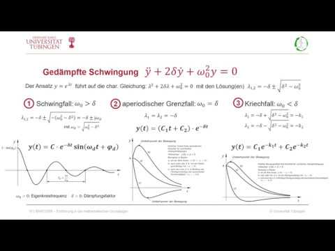 BNWT05M-08-10 Gedämpfte Schwingungen