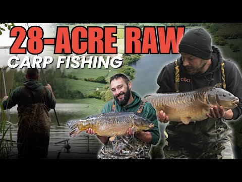Raw Carp Fishing | Carp Fishing in Yorkshire | Day Ticket Fishing | Wintersett Fishery | GoCatch