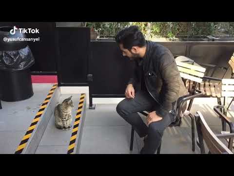 Kedi ile konusan adam @yusuf can sarıyel