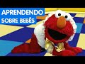 Vila Sésamo 2007 Aprendendo Sobre Bebês