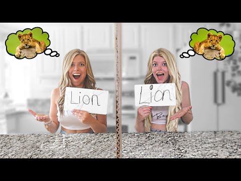 REAL TWIN TELEPATHY TEST!