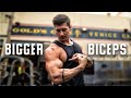 Best Workouts for Bigger Biceps