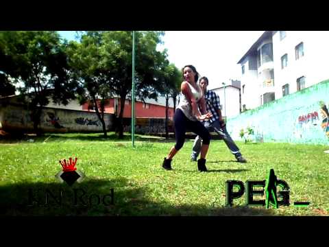 Peg_ ft Kenny Rod - 2ne1 ft beyonce [I'm The best - Who run the world]