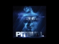 Pitbull - My Kinda Girl ft. Nelly