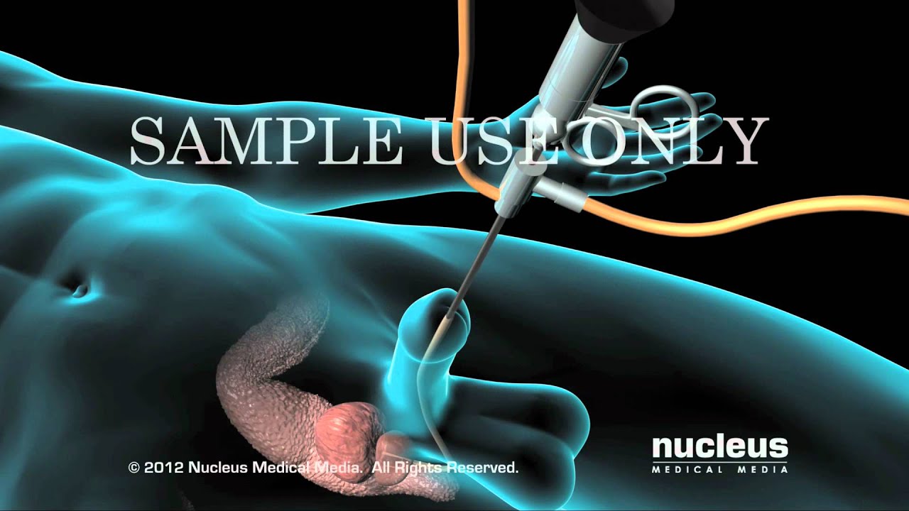 Jose G. Sierra Sosa-6