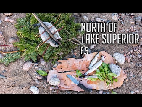 Two Brothers Alone in the Wilderness - E.5 - the Retreat, Trekking for Trout &  Shore Lunch