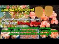 ചാമ്പക്ക വൈൻ Chamba Krishi Malayalam Rose Apple Wine Chambakka Wine Rose Apple