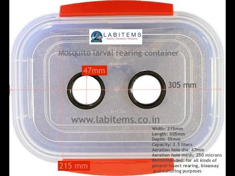 Insect Rearing Container 1.5 Lit with Aeration Hole