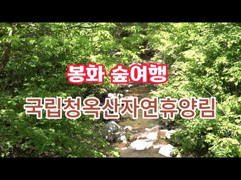 [SNS 서포터즈] 봉화 숲여행, 국립청옥산자연휴양림