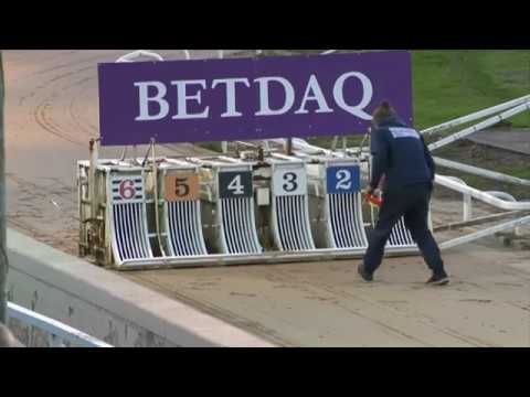 2018 BGBF BRITISH BRED OAKS - HEAT 2 - TEA FOR TESS
