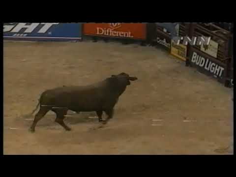 Prince Charming bucks Tater Porter - 99 PBR Finals