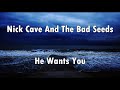 Nick Cave And The Bad Seeds - He Wants You (lyrics)