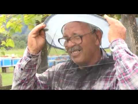 Boja meda ep.24 21.08.2018. - Lekovita svojstva ruzmarinovog meda...