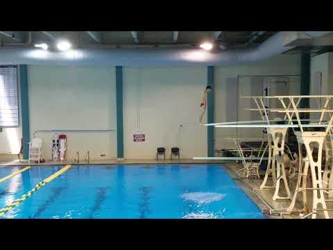 2017 UNCW Men's 3m - Dive 10 403B