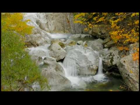 Favorite Original Songs - Multi-Track Recordings (1980s)