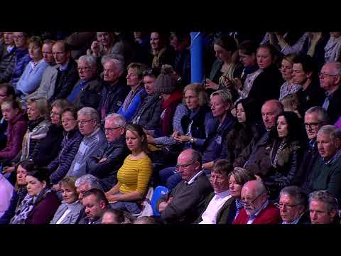 Feinrich-Hengstkollektion 2019 deutsch