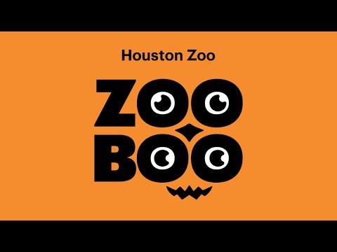 Zoo Boo at Houston Zoo Full Tour 2024
