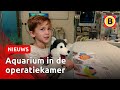 Jesse (5) maakt zelf zijn operatiekamer minder eng | Omroep Brabant