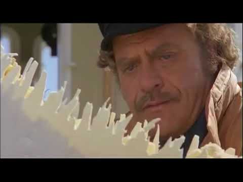 Ostatni Rekin (1981) Lektor PL