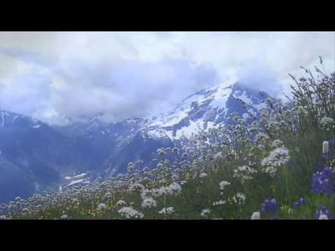 Tylko powiedz czego chcesz.... Sebastian Riedel & Piotr Kupicha