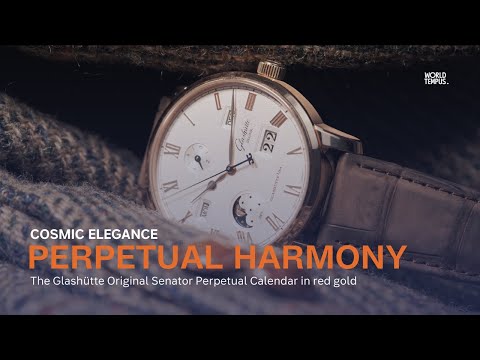 Glashütte Original Senator Perpetual Calendar