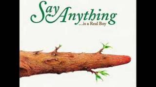Say Anything - Slowly, Through a Vector