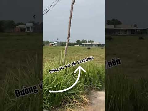 Lô Thổ Cư Ven TPHCM Đón Đầu Hạ Tầng Giao Thông Và Mở Rộng Mặt Tiền Giá 9Tr6/M2