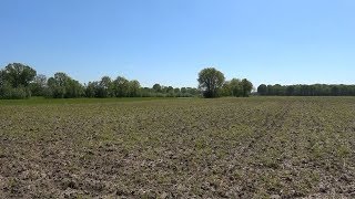 Uitbreiding van de Efteling - Langstraat TV