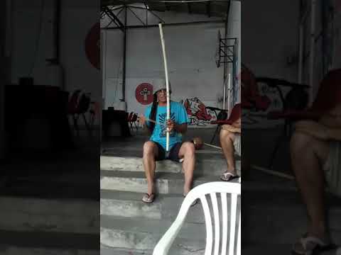 Birimbau: Música, história e sustentabilidade