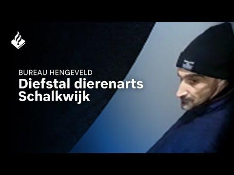 Kassa gestolen bij dierenarts - Schalkwijk