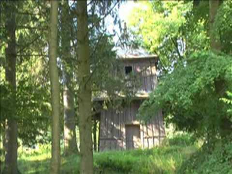 1. fotografia fotogalérie Videogaléria