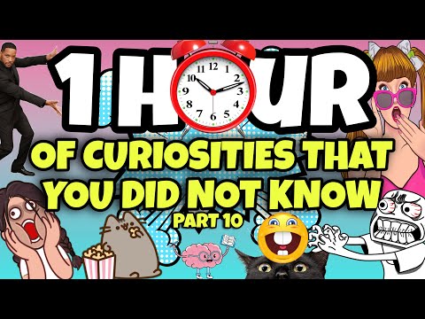 1 HOUR OF CURIOSITIES AND THINGS YOU DIDN'T KNOW 🧠⏰ #10 